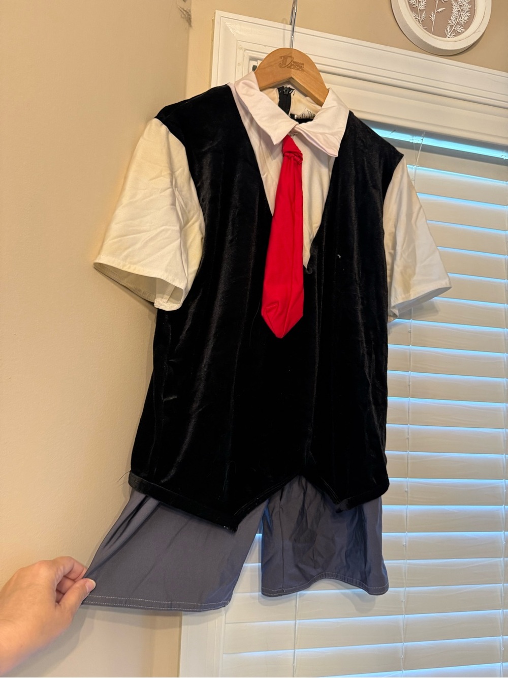 A Wish Come True Costume Black Vest with White Shirt and Red Tie Accent
